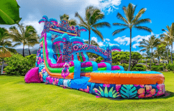 18ft20Aloha20Slide20Image202 1768506592 18ft Aloha Splash Dual Lane