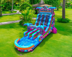 18ft20Aloha20Slide20image203 1768506591 18ft Aloha Splash Dual Lane