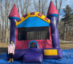 Purple Dream Castle 13x13