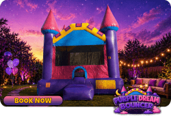Purple Dream Bouncer 13x13