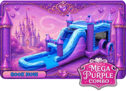 Mega Purple Princess WET/DRY